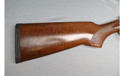 American Arms ~ Silver 1 ~ 12 Gauge - Image 3 of 10