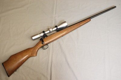 Savage ~ Model 110 ~ .270 Winchester