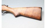 Marlin ~ Glenfield Model 25 ~ .22 Short/Long/Long Rifle - 8 of 10