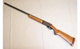 Sears Roebuck & Company ~ 282.51 ~ 12 Gauge - 2 of 10