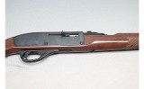 Remington ~ Nylon 66 ~ .22 Long Rifle - 4 of 10