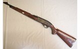 Remington ~ Nylon 66 ~ .22 Long Rifle - 2 of 10