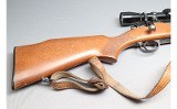 Whitworth ~ Whitworth ~ .243 Winchester - 3 of 10