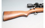 Crickett ~ Crickett ~ .22 Long Rifle - 3 of 10
