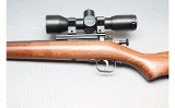 Crickett ~ Crickett ~ .22 Long Rifle - 7 of 10
