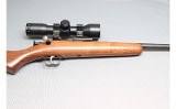 Crickett ~ Crickett ~ .22 Long Rifle - 4 of 10