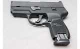 SIG Sauer ~ P250 ~ 9mm Luger - Image 2 of 2