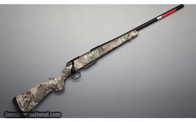 Winchester ~ XPR ~ 6.5 Creedmoor