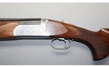 Fausti ~ Warwick ~ 12 Gauge - 8 of 10