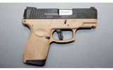 Taurus
G2s
9mm Luger