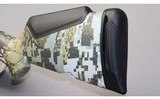 Benelli ~ Lupo ~ .300 Winchester Magnum - 10 of 10