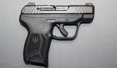 Ruger ~ LCP Max ~ .380 ACP