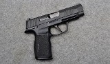 SIG Sauer P365 XL - 1 of 2