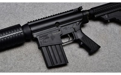 DPMS LR-308 - Image 9 of 10
