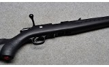 Ruger American - 10 of 10