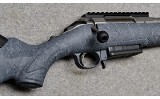 Ruger American - 10 of 10