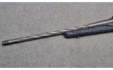 Ruger American - 8 of 10