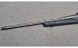 Ruger American - 8 of 10