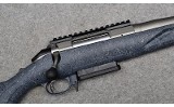 Ruger American - 10 of 10