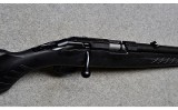 Ruger American - 10 of 10