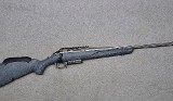Ruger American - 1 of 10