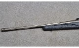 Ruger American - 8 of 10