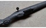 Ruger American - 10 of 10