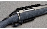 Ruger American - 9 of 10