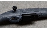 Ruger American - 10 of 10