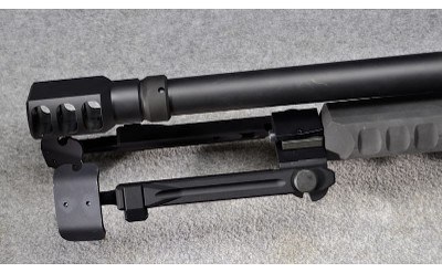 Steyr Arms HS .50-M1 - Image 9 of 10