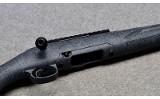 Ruger American - 10 of 10