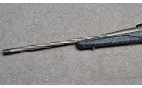 Ruger American - 8 of 10