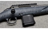 Ruger American - 10 of 10