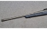 Ruger American - 8 of 10