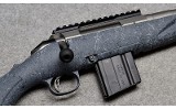 Ruger American - 10 of 10