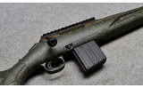 Ruger American - 10 of 10