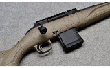 Ruger American - 10 of 10