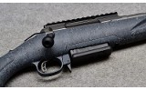 Ruger American - 10 of 10