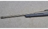 Ruger American - 8 of 10