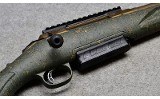 Ruger American - 10 of 10
