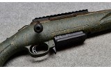 Ruger American - 10 of 10