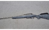 Ruger American - 5 of 10