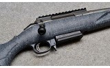 Ruger American - 10 of 10