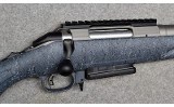 Ruger American - 9 of 10