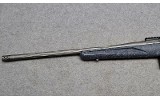 Ruger American - 8 of 10