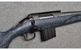 Ruger American - 9 of 10
