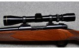 Winchester 70 - 10 of 10