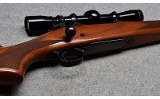 Winchester 70 - 9 of 10