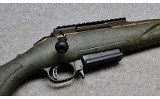 Ruger American - 10 of 10