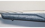 Ruger ~ American ~ .22 Arc - 6 of 10